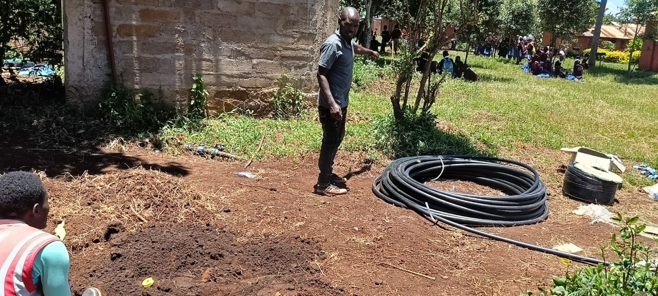 Drip irrigation